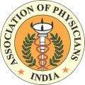 api logo